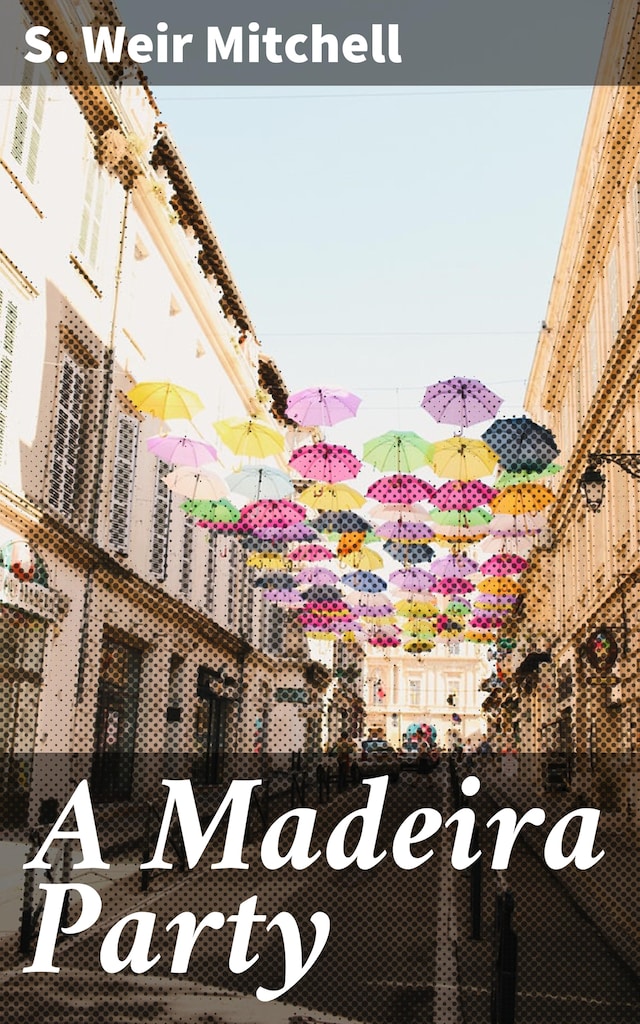 Buchcover für A Madeira Party