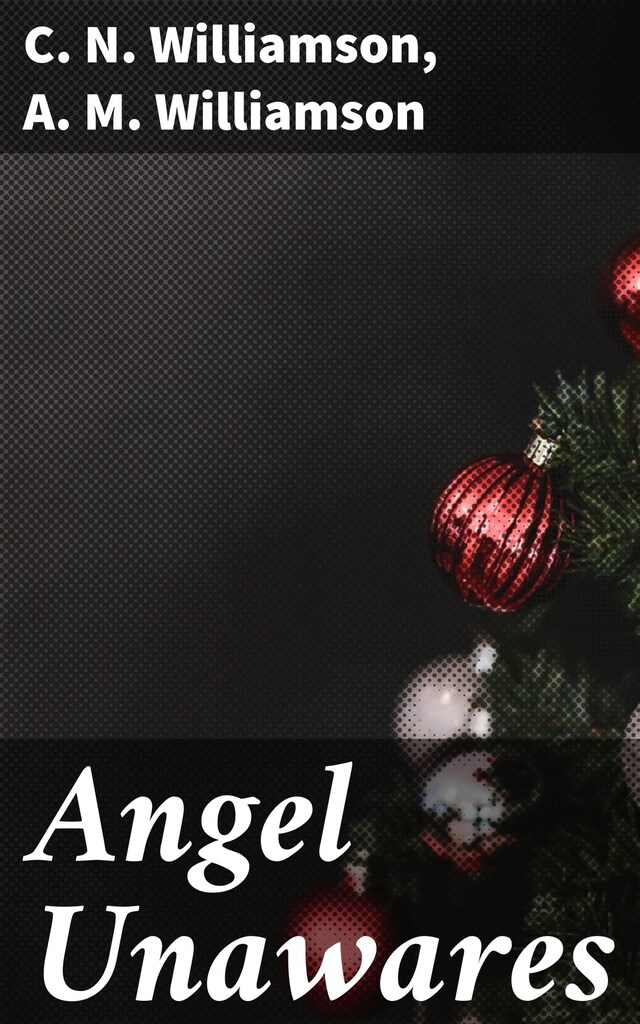 Book cover for Angel Unawares