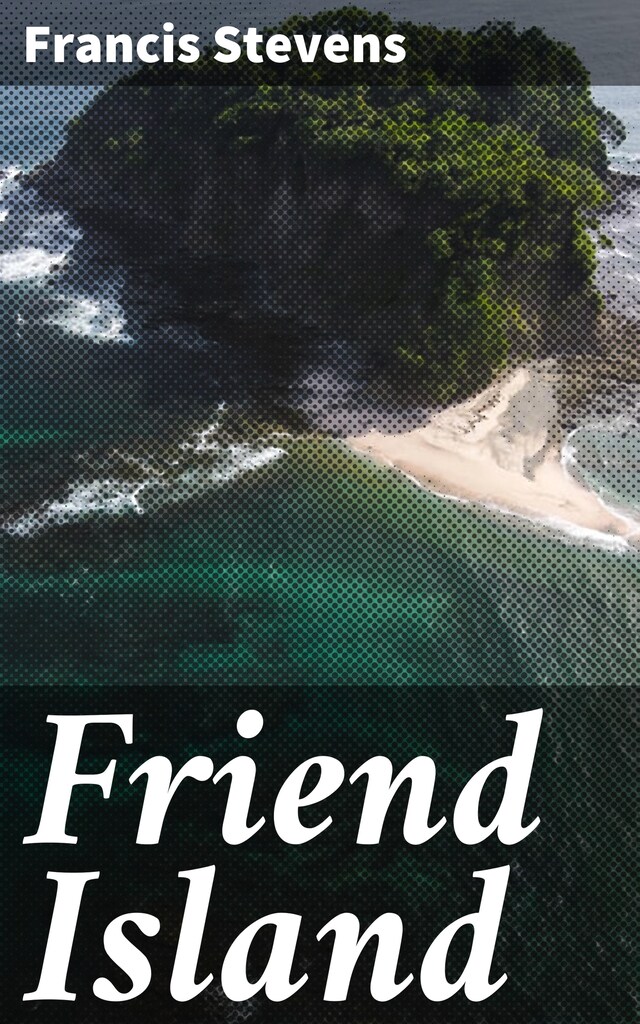 Book cover for Friend Island