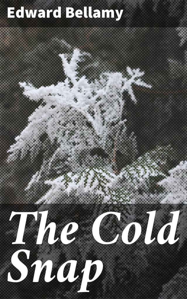 Buchcover für The Cold Snap
