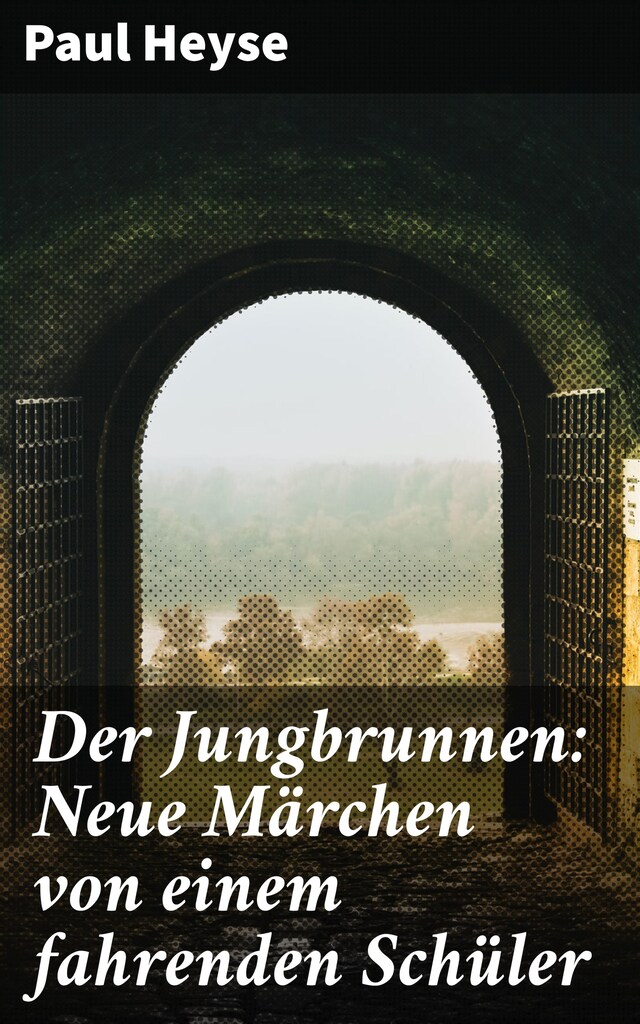 Book cover for Der Jungbrunnen: Neue Märchen von einem fahrenden Schüler
