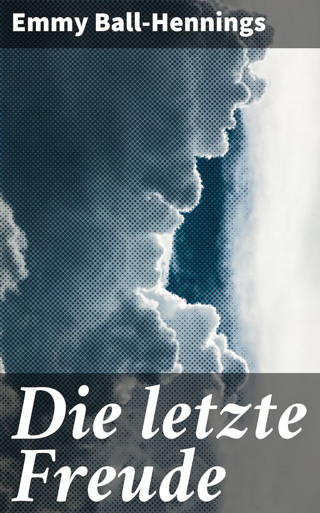 Buchcover für Die letzte Freude