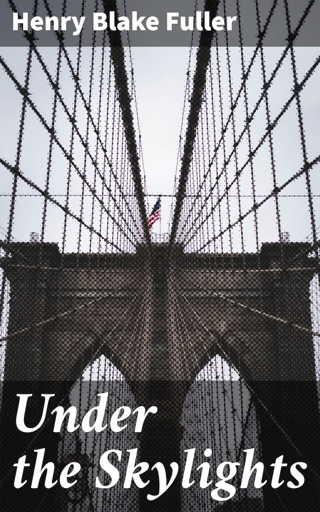 Book cover for Under the Skylights