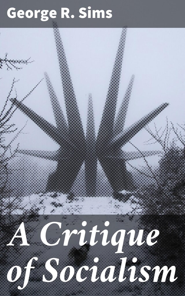 Book cover for A Critique of Socialism