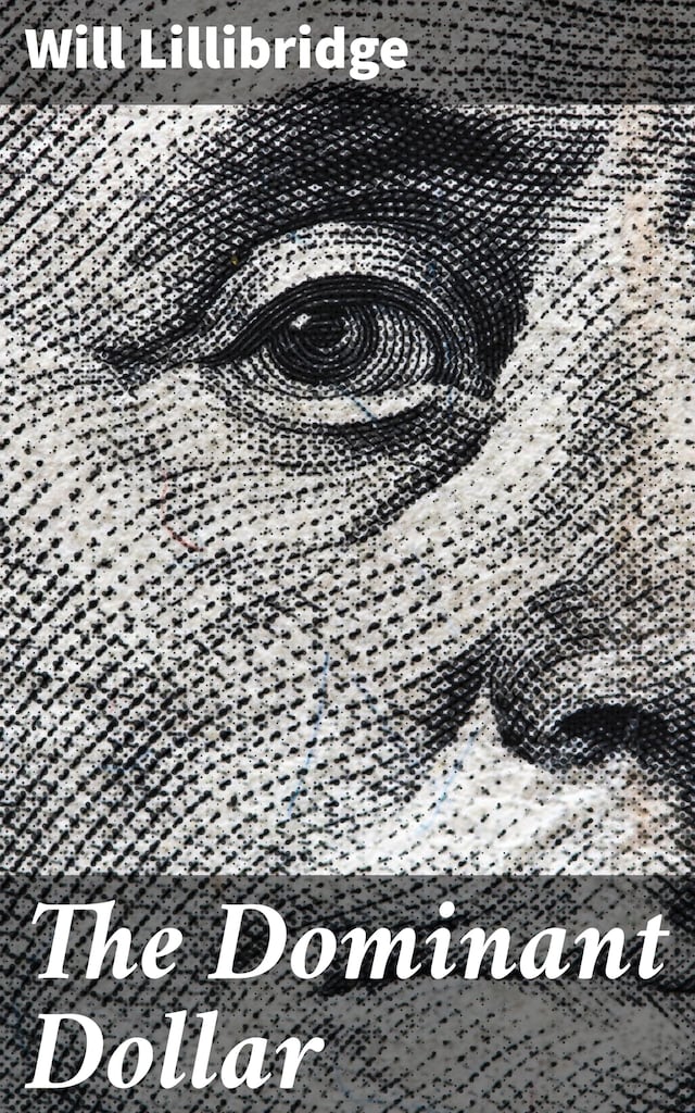 Book cover for The Dominant Dollar