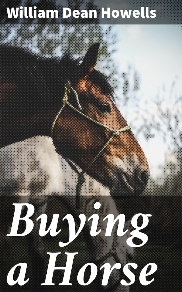 Book cover for Buying a Horse