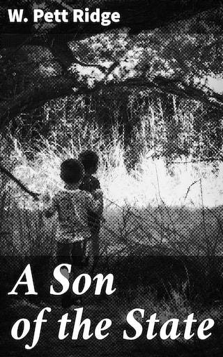 A Son of the State bookCoverFor