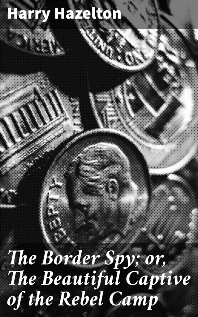 Book cover for The Border Spy; or, The Beautiful Captive of the Rebel Camp