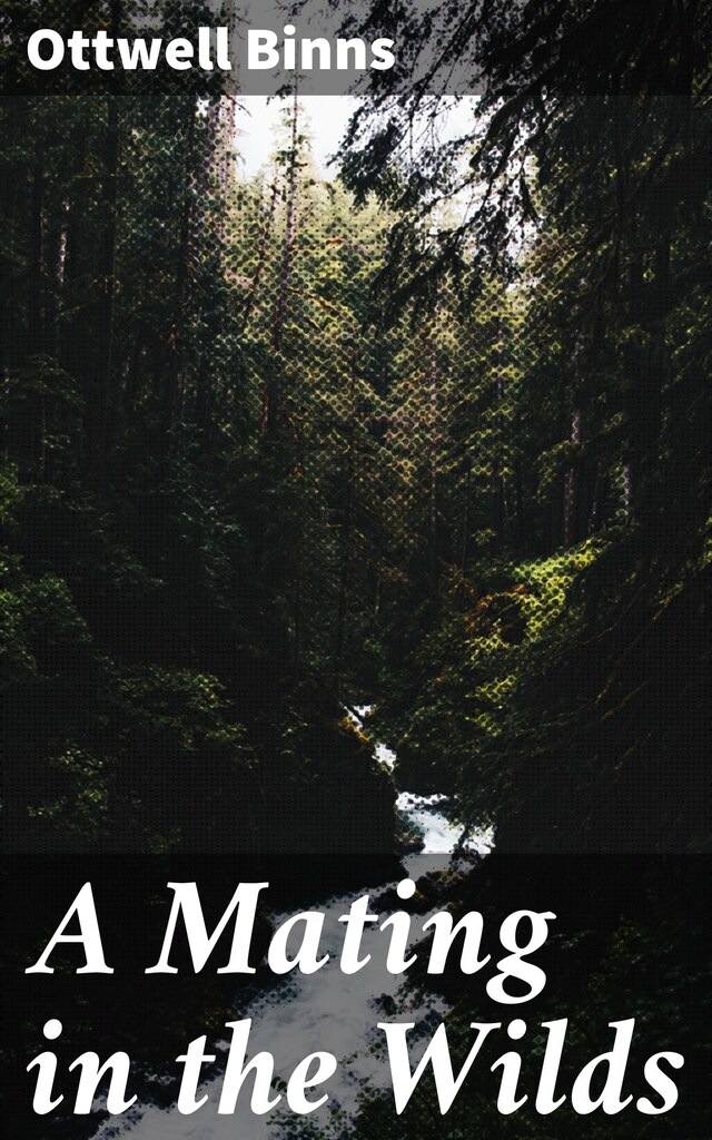 Book cover for A Mating in the Wilds