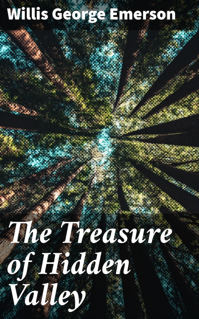 Book cover for The Treasure of Hidden Valley