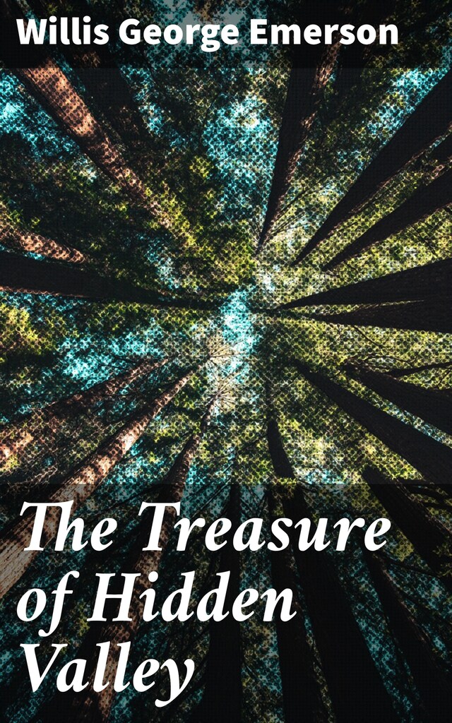 Book cover for The Treasure of Hidden Valley