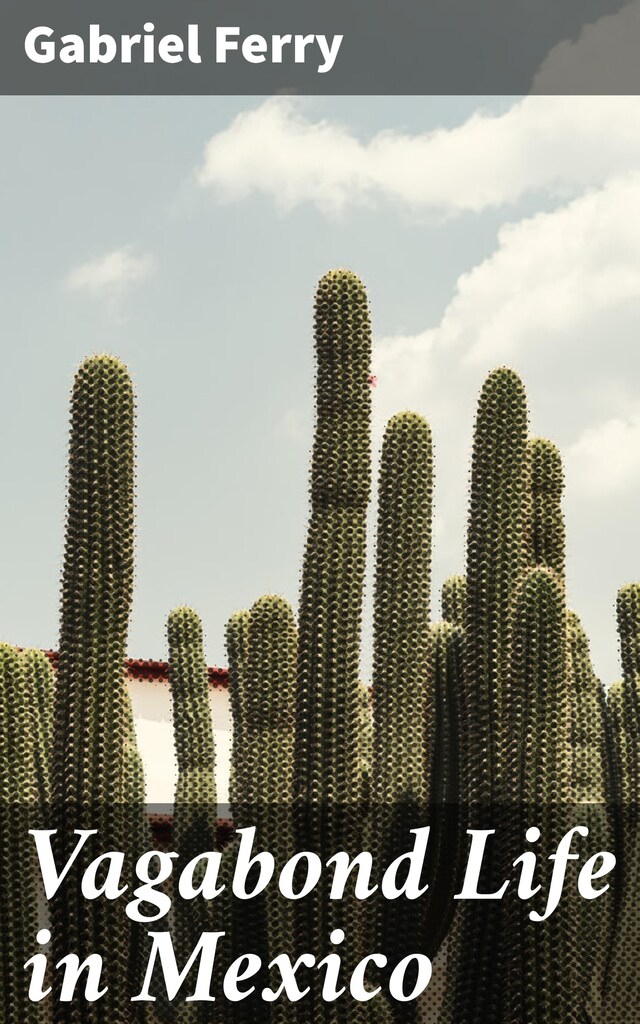 Copertina del libro per Vagabond Life in Mexico