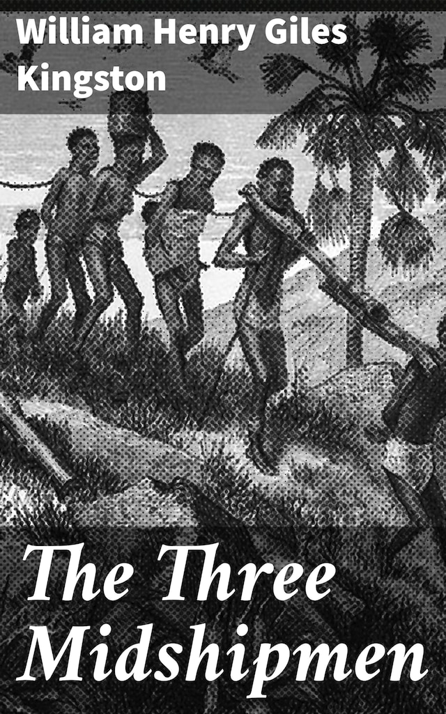 Book cover for The Three Midshipmen
