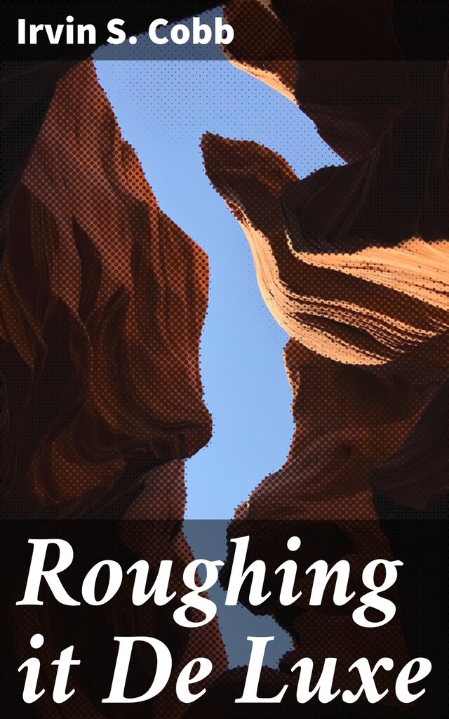 Book cover for Roughing it De Luxe