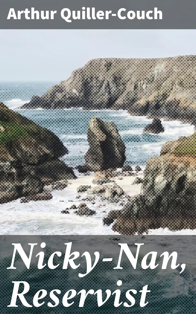 Book cover for Nicky-Nan, Reservist