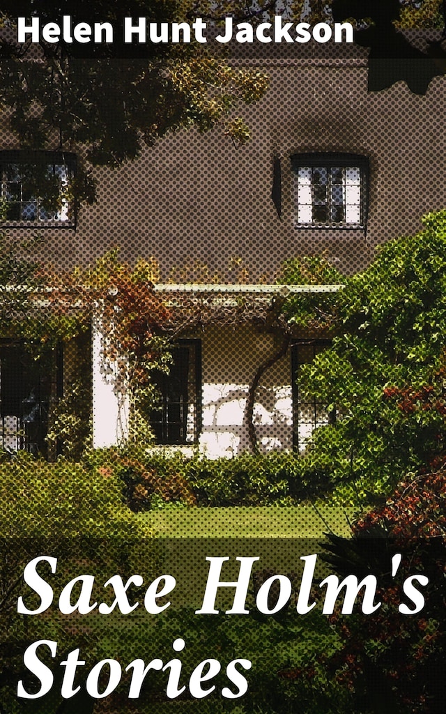 Kirjankansi teokselle Saxe Holm's Stories