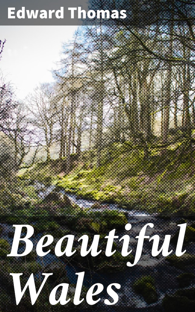 Boekomslag van Beautiful Wales