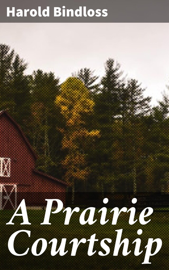 Book cover for A Prairie Courtship