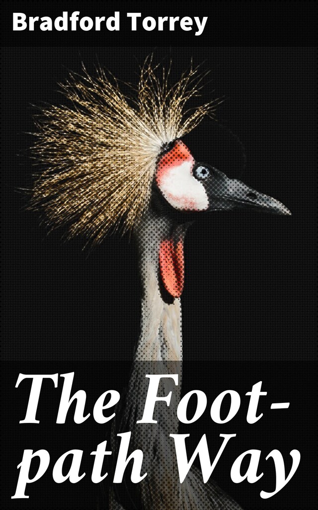 Copertina del libro per The Foot-path Way