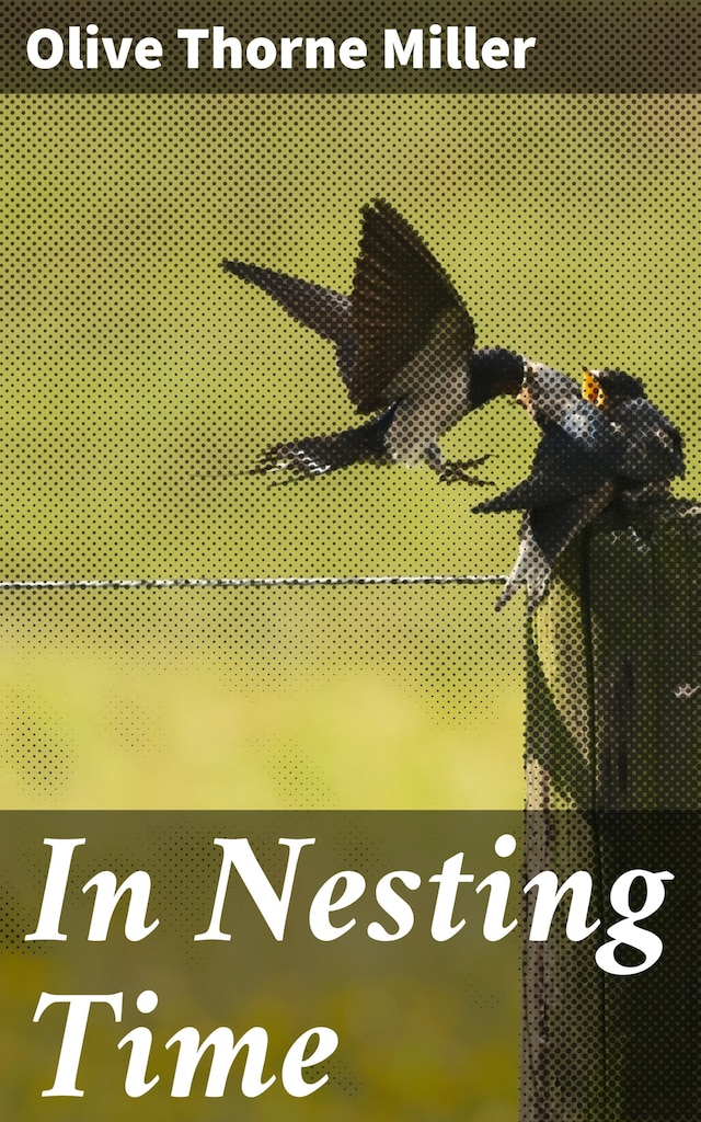 Buchcover für In Nesting Time