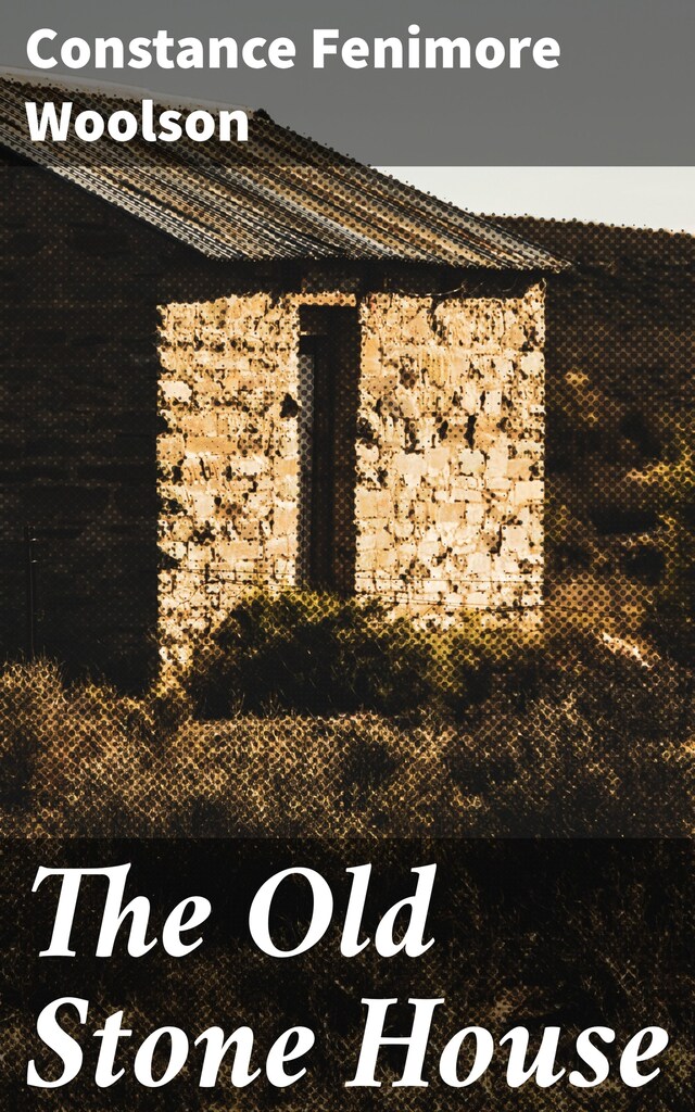 Book cover for The Old Stone House