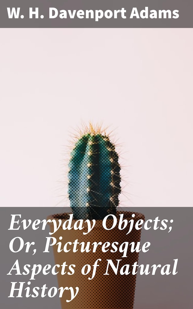 Okładka książki dla Everyday Objects; Or, Picturesque Aspects of Natural History
