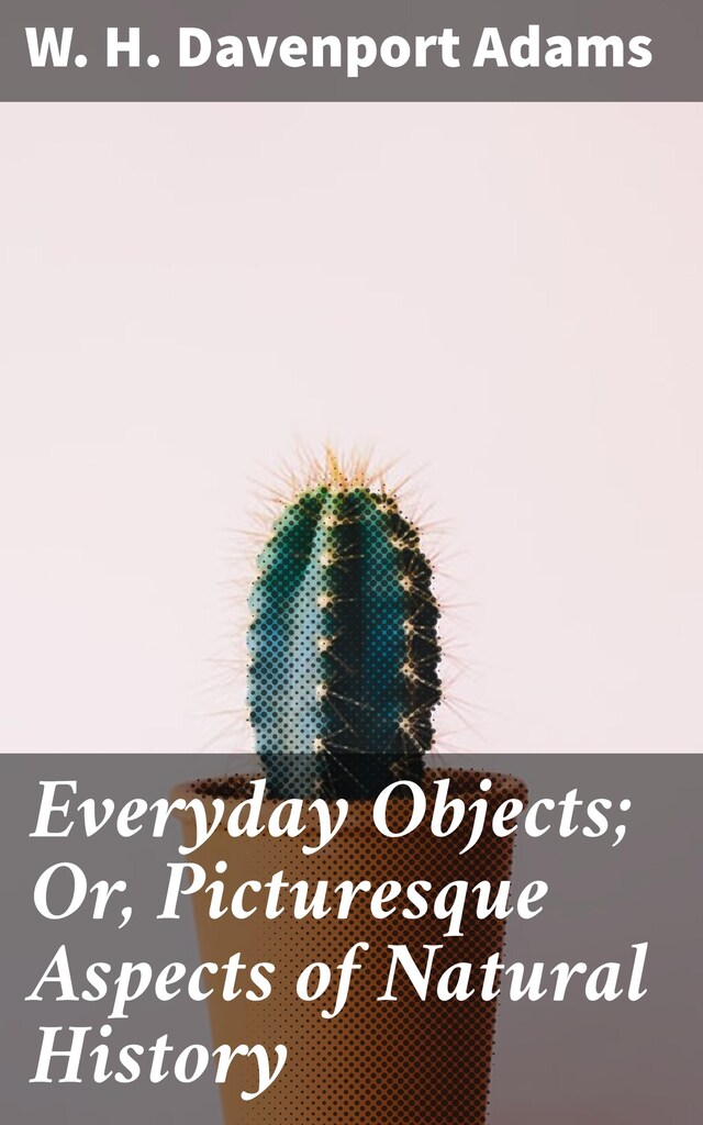 Book cover for Everyday Objects; Or, Picturesque Aspects of Natural History