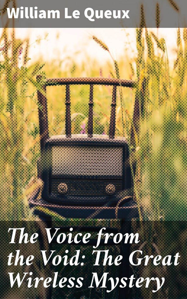 Book cover for The Voice from the Void: The Great Wireless Mystery