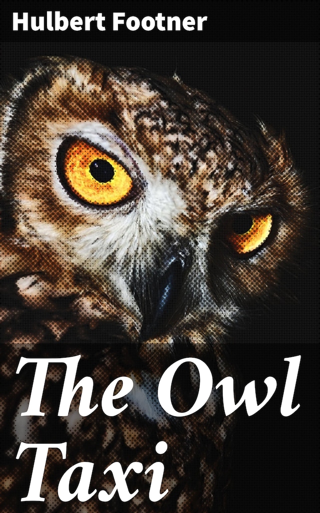 Couverture de livre pour The Owl Taxi