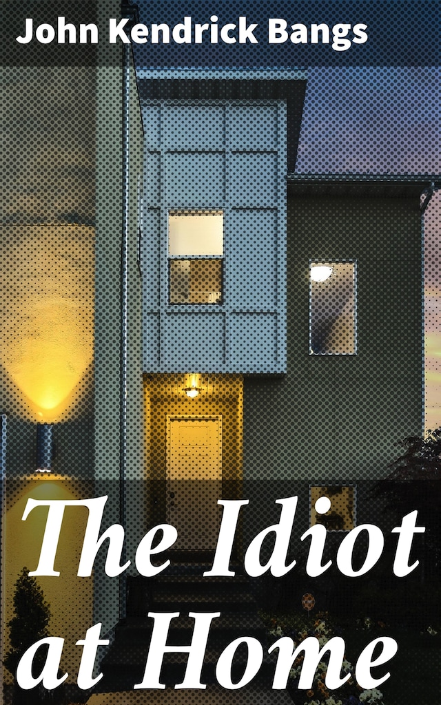 Book cover for The Idiot at Home