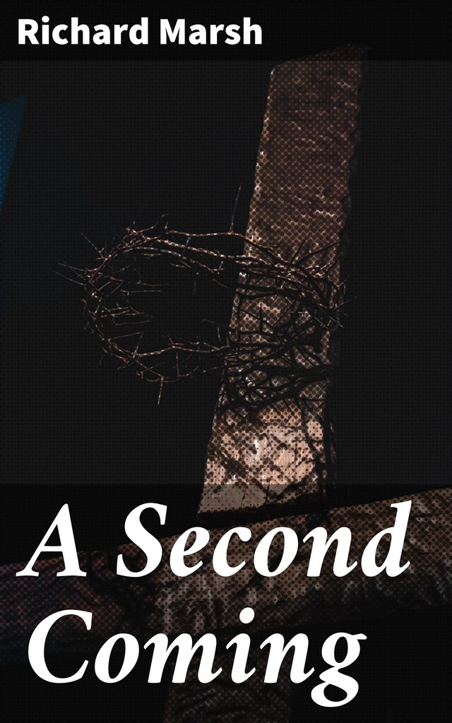 Book cover for A Second Coming