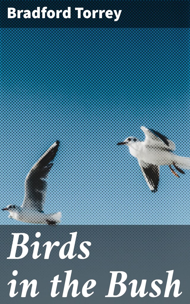 Couverture de livre pour Birds in the Bush