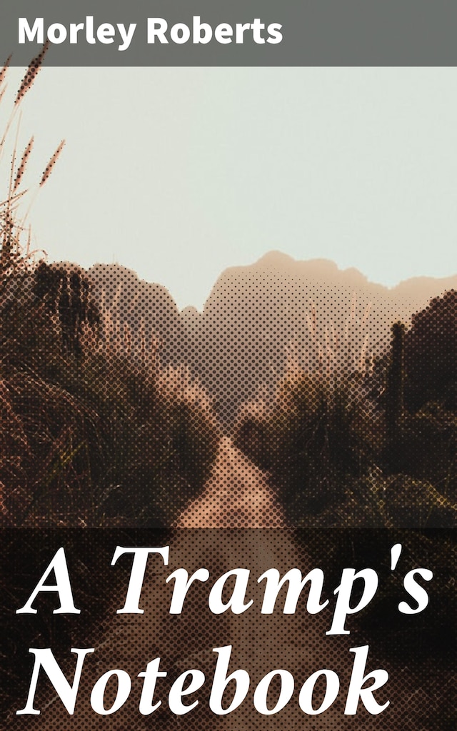 Book cover for A Tramp's Notebook