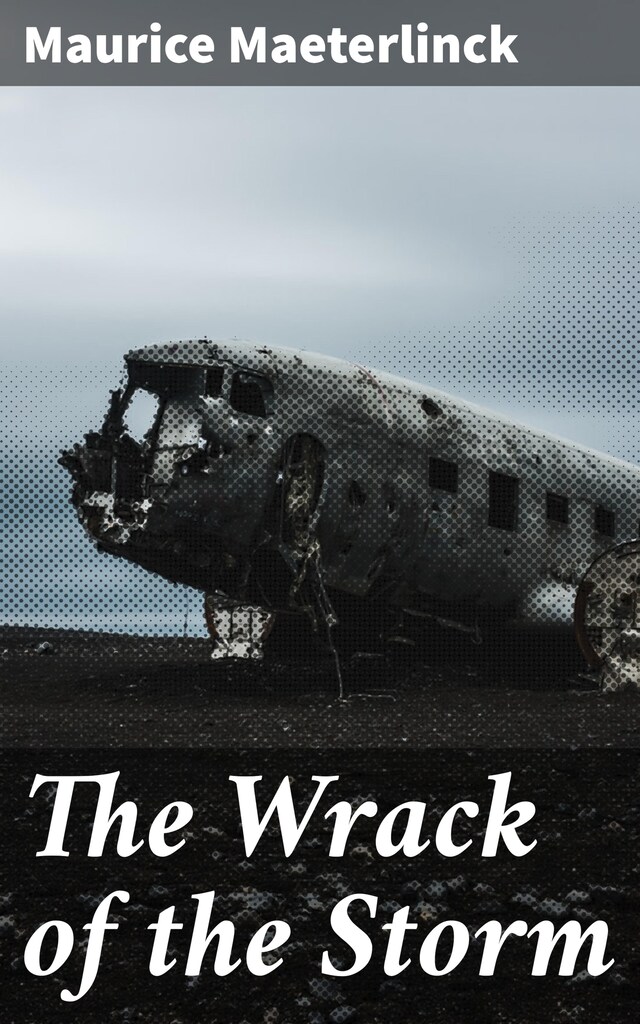 Couverture de livre pour The Wrack of the Storm