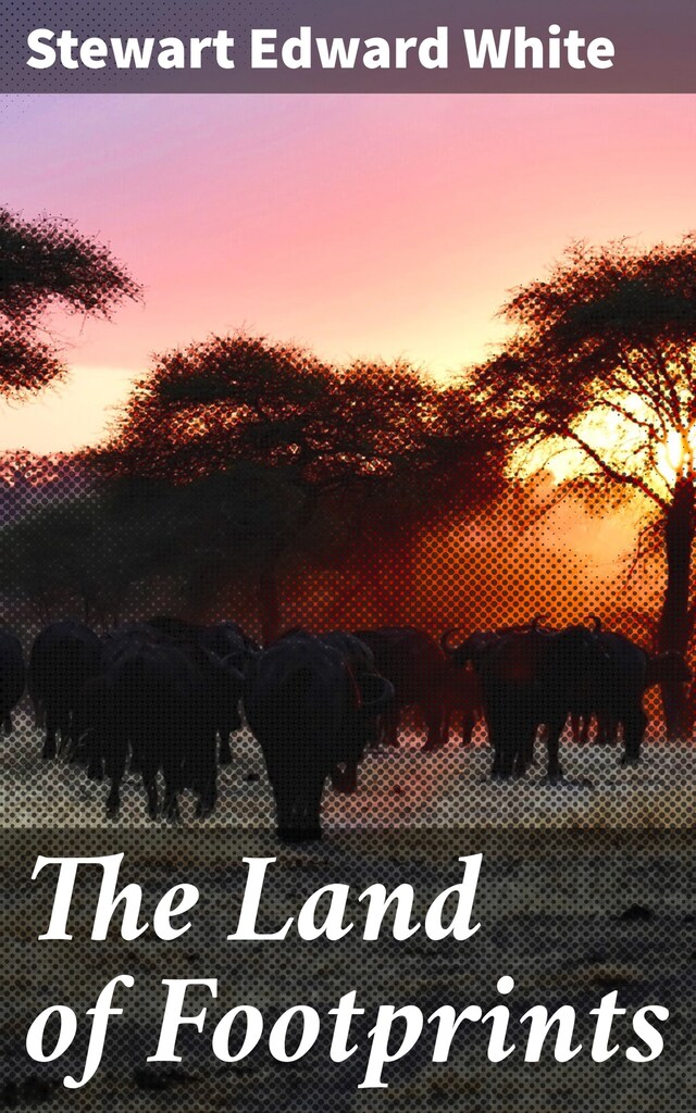 Book cover for The Land of Footprints