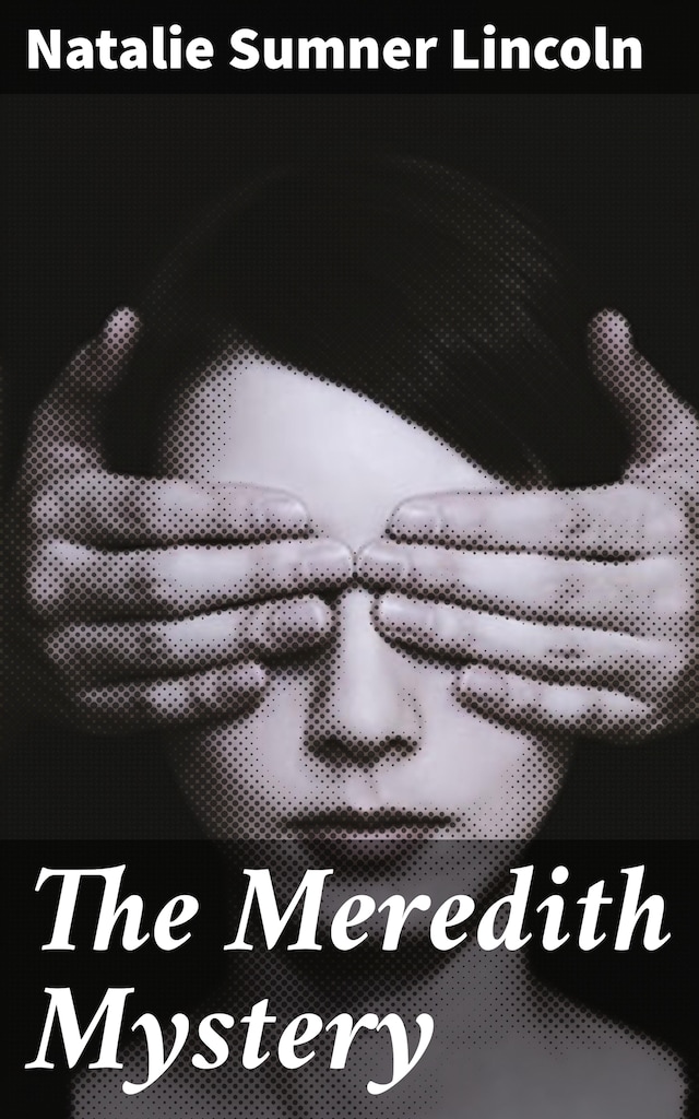 Book cover for The Meredith Mystery