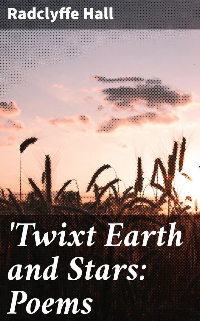 Boekomslag van 'Twixt Earth and Stars: Poems