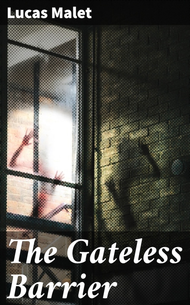 Book cover for The Gateless Barrier