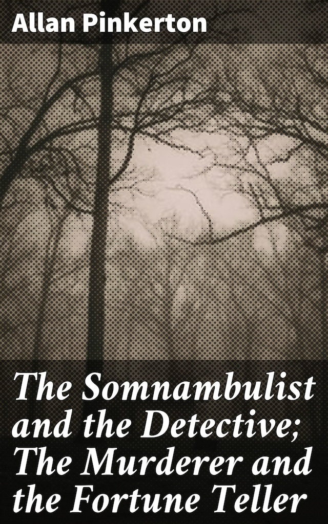Book cover for The Somnambulist and the Detective; The Murderer and the Fortune Teller