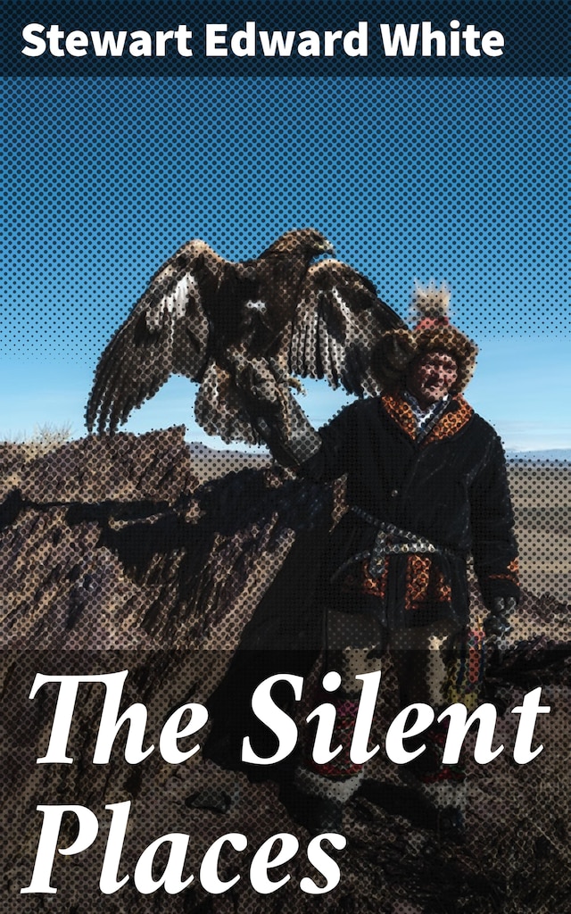 Book cover for The Silent Places