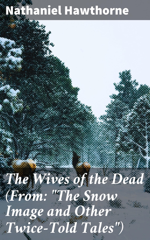 Book cover for The Wives of the Dead (From: "The Snow Image and Other Twice-Told Tales")