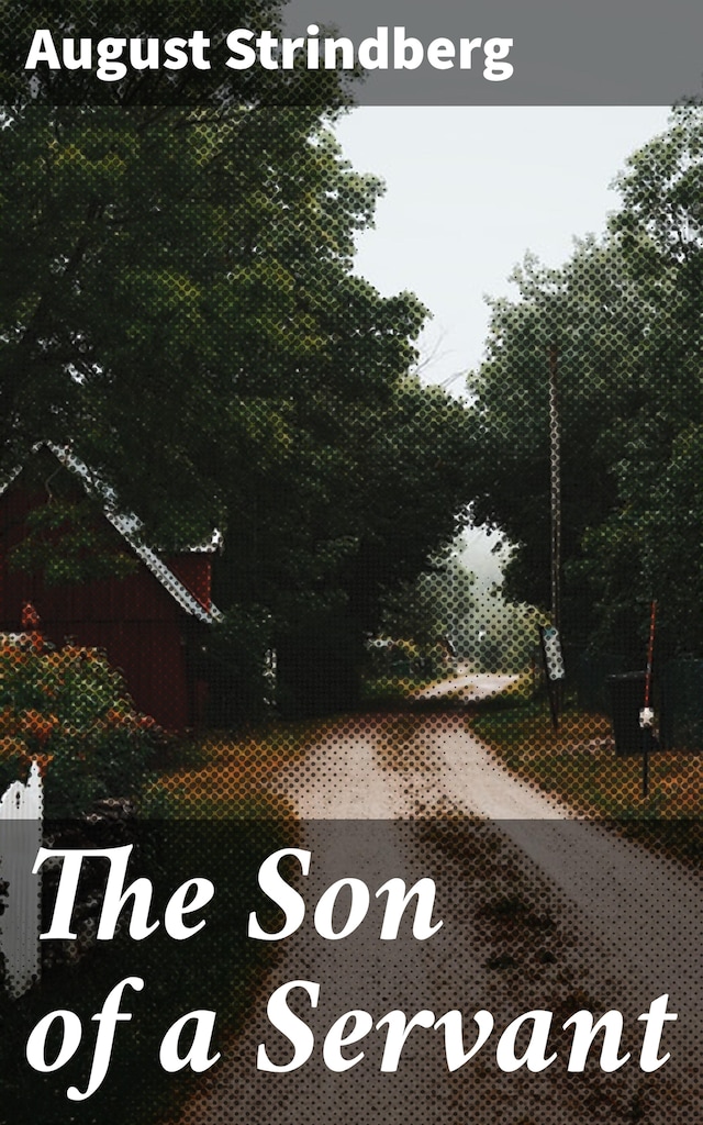 Okładka książki dla The Son of a Servant