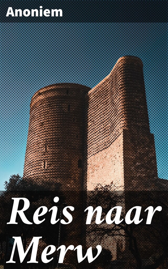 Book cover for Reis naar Merw