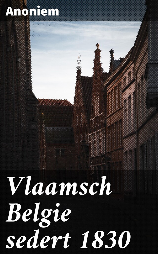 Buchcover für Vlaamsch Belgie sedert 1830