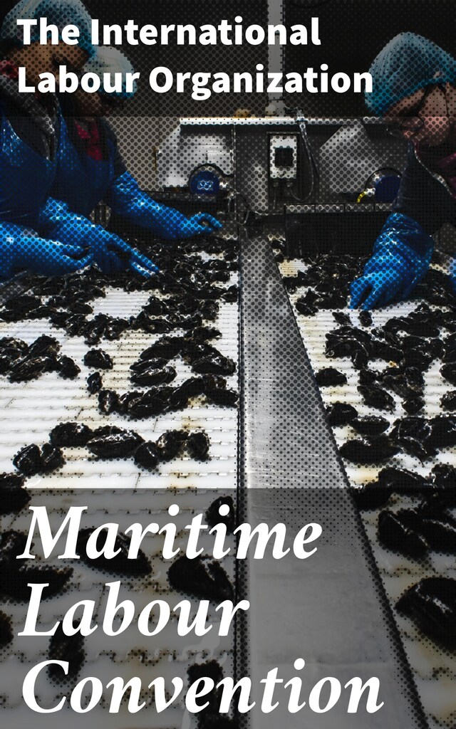 Couverture de livre pour Maritime Labour Convention