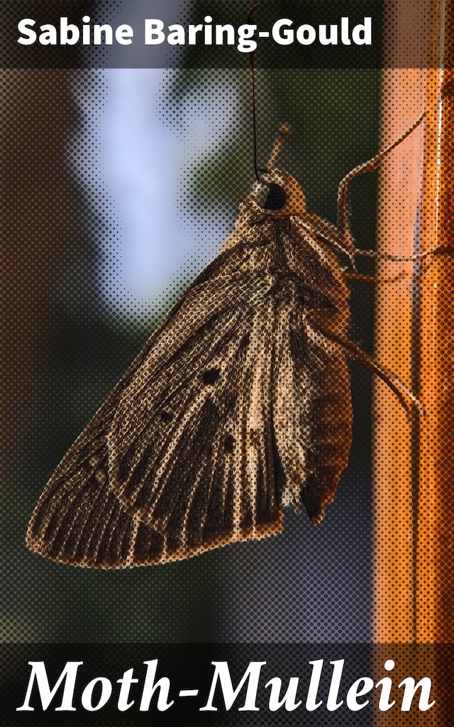 Bokomslag for Moth-Mullein