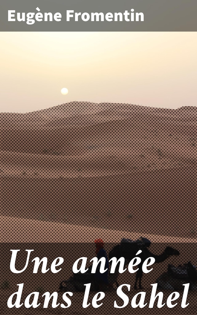 Book cover for Une année dans le Sahel