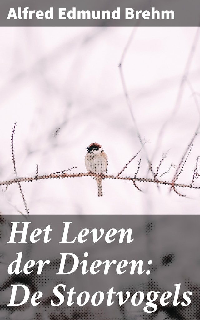 Het Leven der Dieren: De Stootvogels