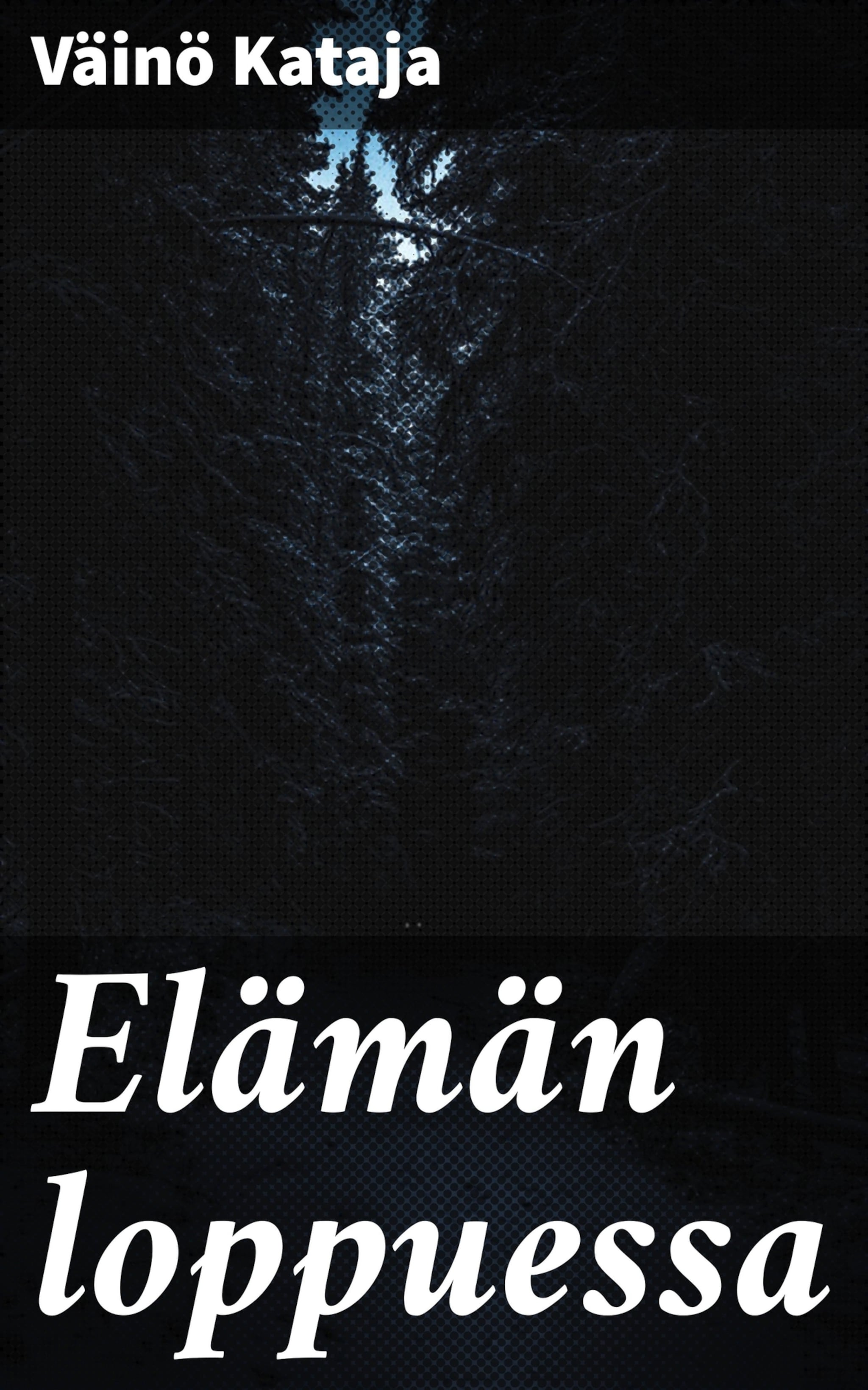 Elämän loppuessa
