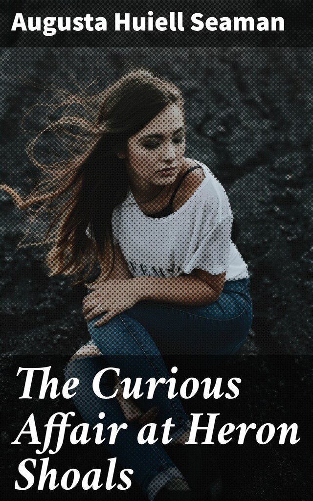 Book cover for The Curious Affair at Heron Shoals